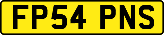 FP54PNS