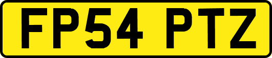 FP54PTZ