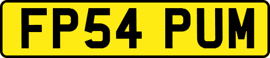 FP54PUM