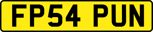 FP54PUN