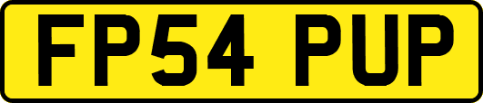 FP54PUP
