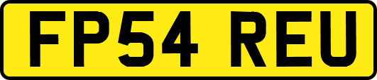 FP54REU