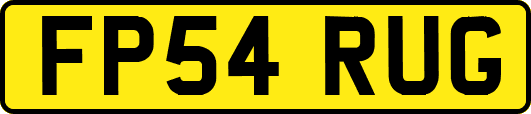 FP54RUG
