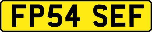 FP54SEF