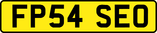FP54SEO