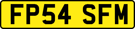 FP54SFM