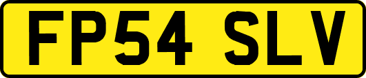 FP54SLV