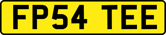 FP54TEE