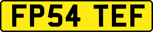 FP54TEF
