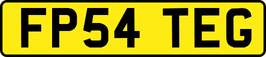FP54TEG