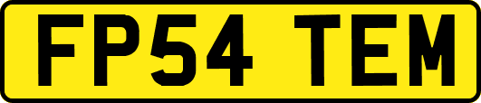 FP54TEM