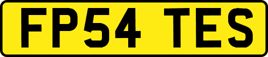 FP54TES