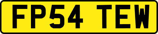 FP54TEW