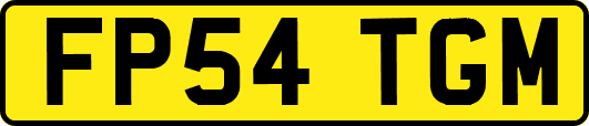 FP54TGM