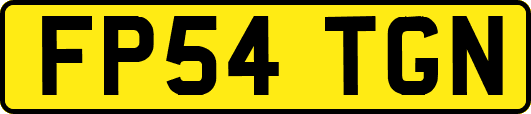 FP54TGN