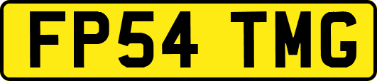 FP54TMG