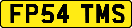 FP54TMS