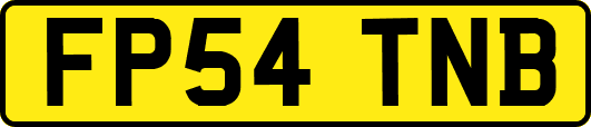 FP54TNB