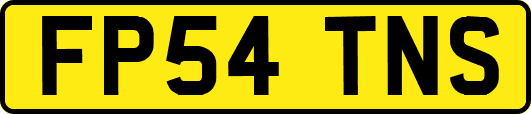 FP54TNS