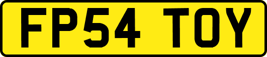 FP54TOY