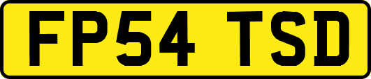 FP54TSD