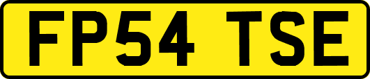 FP54TSE