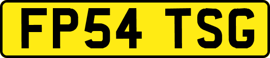 FP54TSG