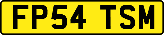 FP54TSM