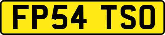 FP54TSO
