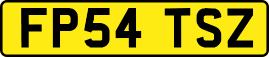 FP54TSZ