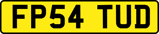 FP54TUD