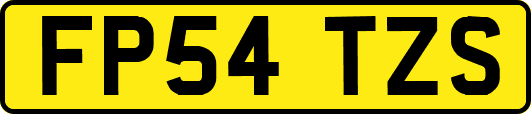 FP54TZS