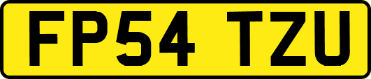 FP54TZU