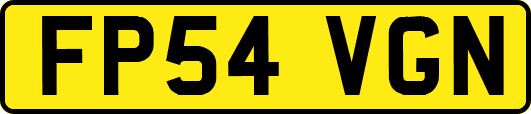 FP54VGN