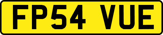 FP54VUE