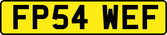 FP54WEF