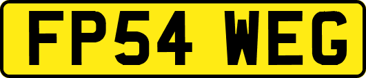 FP54WEG