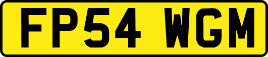 FP54WGM