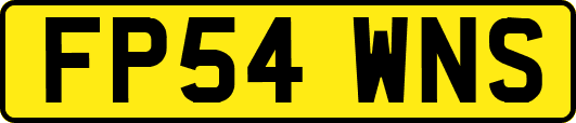 FP54WNS