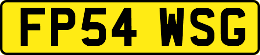 FP54WSG