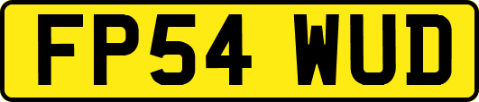 FP54WUD