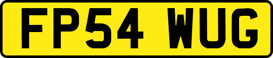 FP54WUG