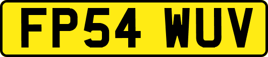 FP54WUV