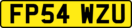 FP54WZU