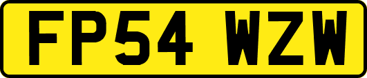 FP54WZW