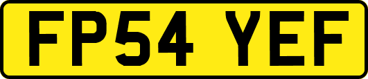 FP54YEF