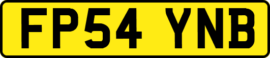 FP54YNB