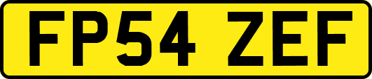 FP54ZEF