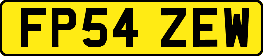FP54ZEW