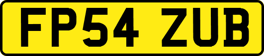 FP54ZUB